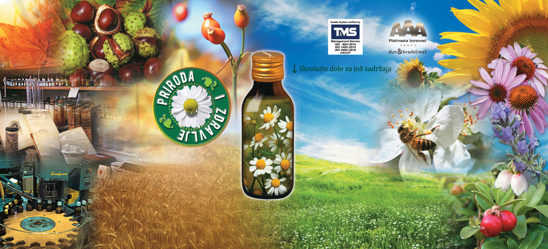 SF-zaglavlje-za-sajt-2025-SR